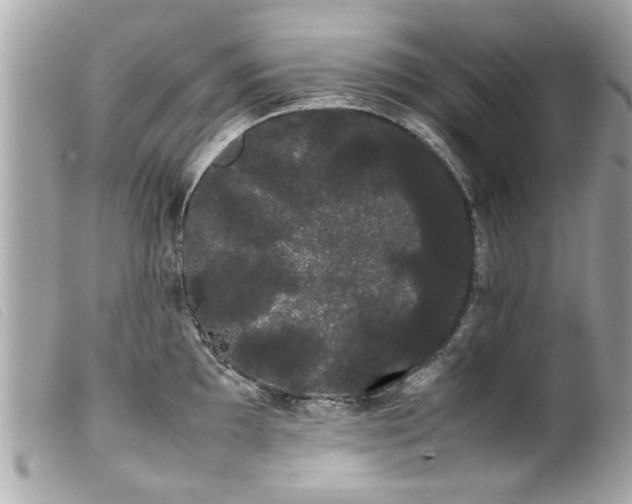 X0000100221097200805301342