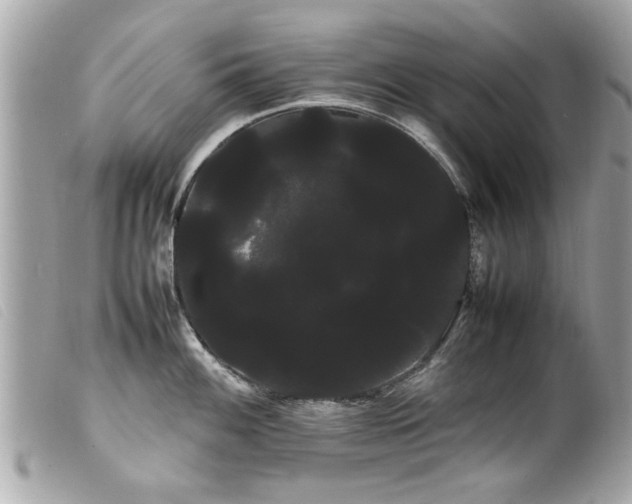 X0000100221100200805301342