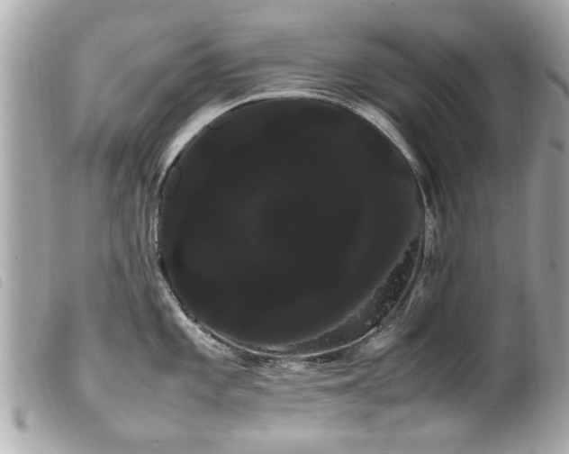X0000100221101200805301342
