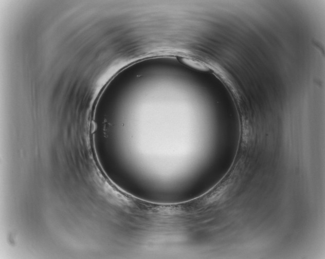 X0000100221102200805301341