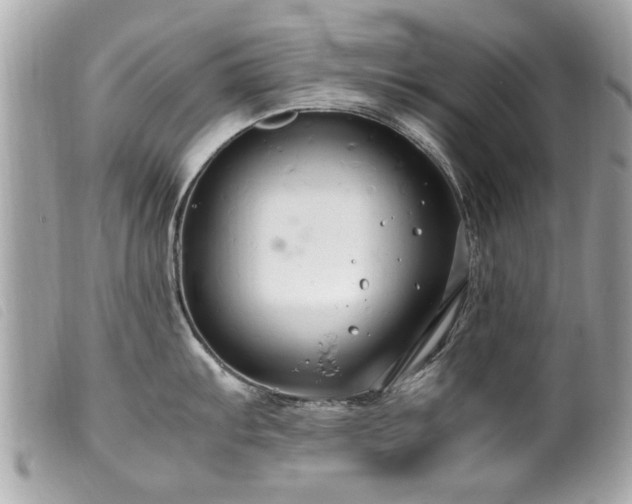 X0000100221103200805301341