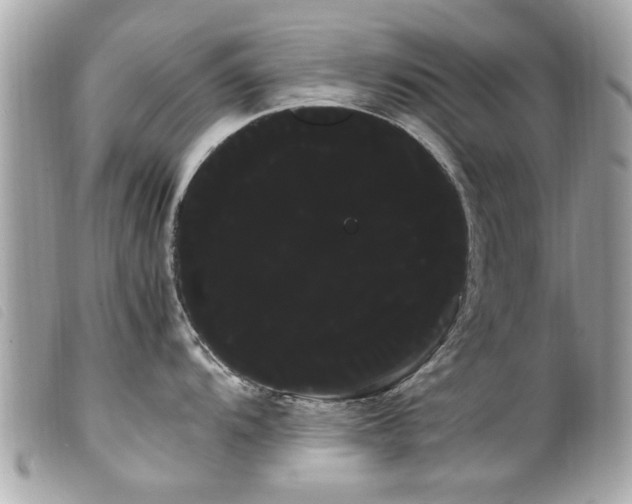 X0000100221104200805301341