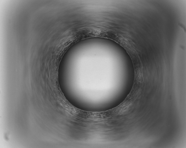 X0000100221105200805301341