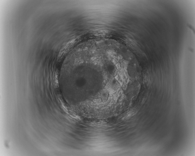 X0000100221106200805301341