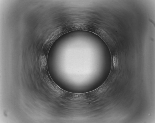 X0000100221107200805301341