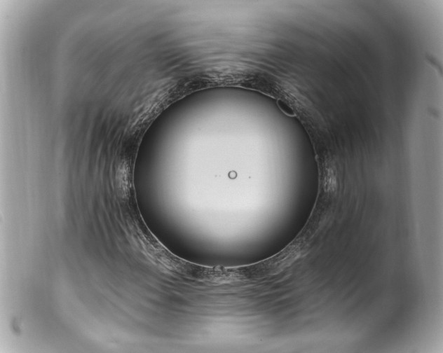 X0000100221108200805301341