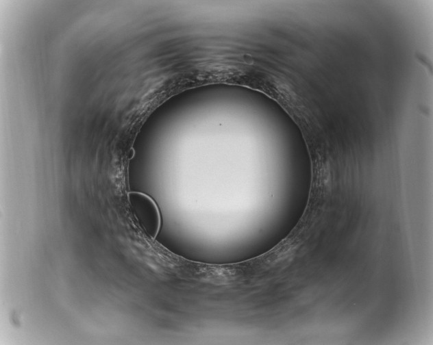 X0000100221109200805301341