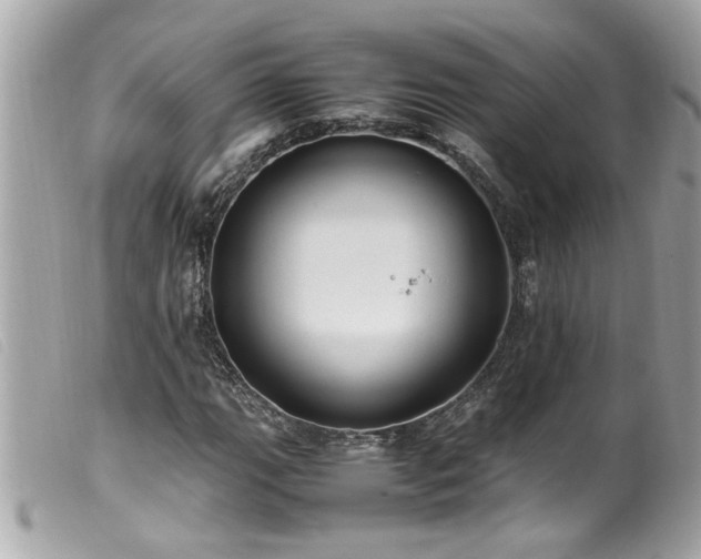 X0000100221111200805301341