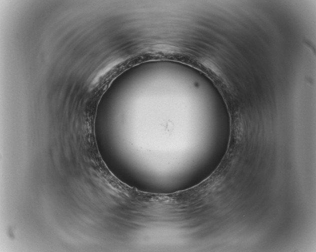 X0000100221112200805301341