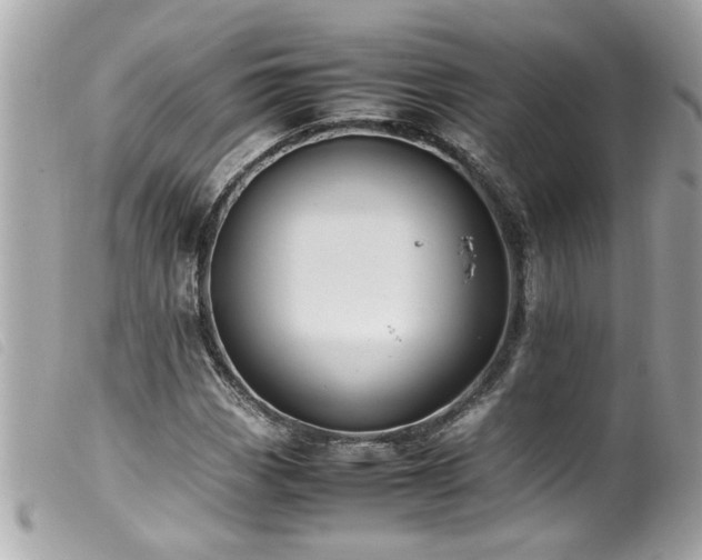 X0000100221113200805301341