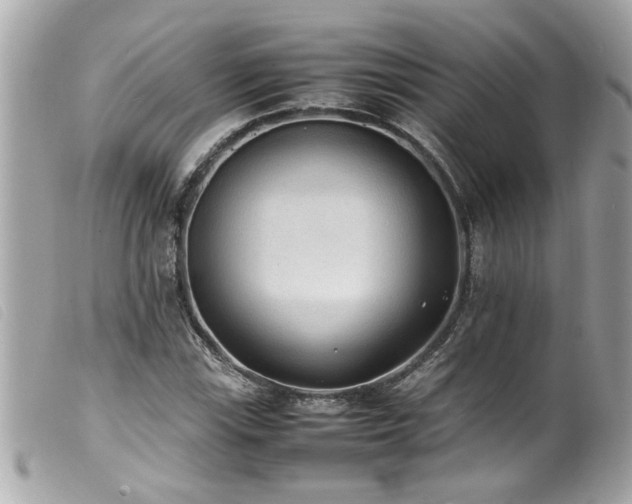 X0000100221115200805301341