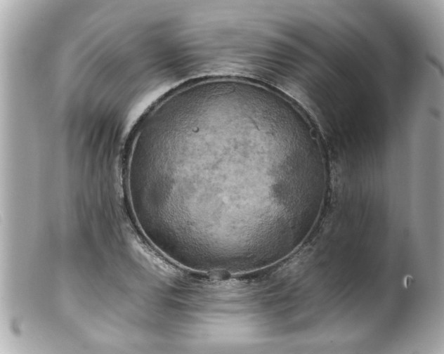 X0000100221120200805301341