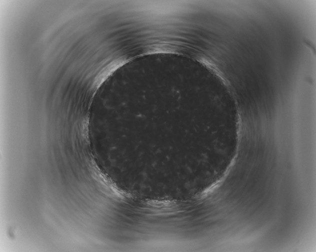 X0000100221121200805301341