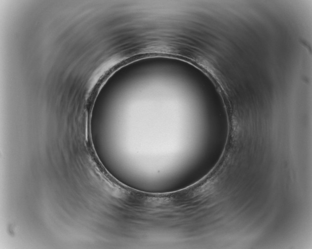 X0000100221123200805301341