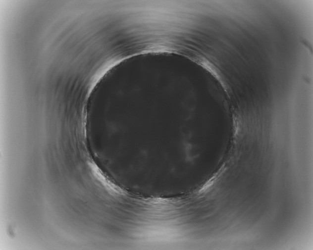 X0000100221124200805301341
