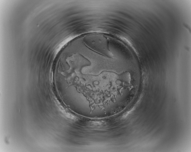 X0000100221125200805301341