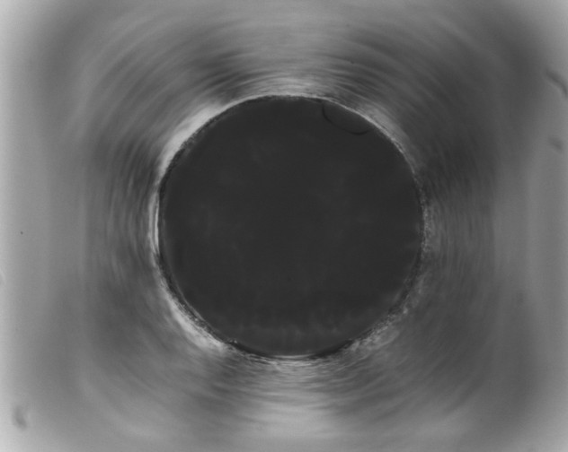 X0000100221128200805301341
