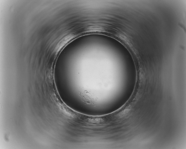 X0000100221129200805301341