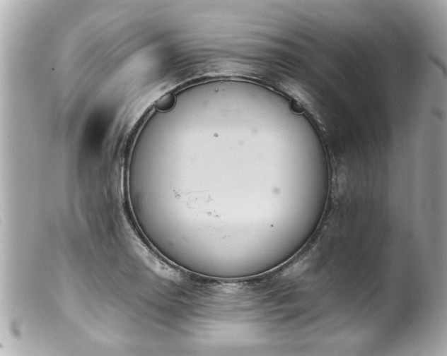 X0000100221130200805301341