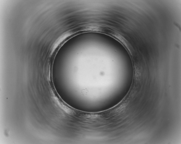 X0000100221131200805301341