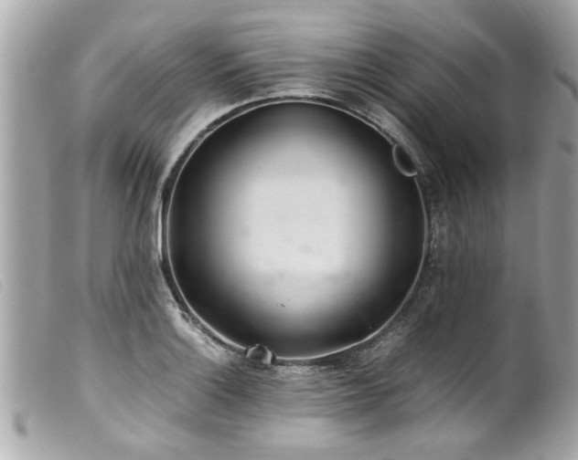 X0000100221132200805301341