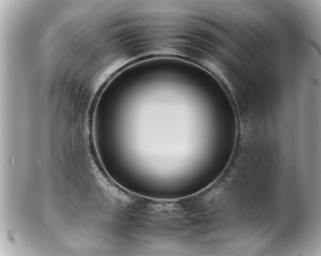 X0000100221133200805301341