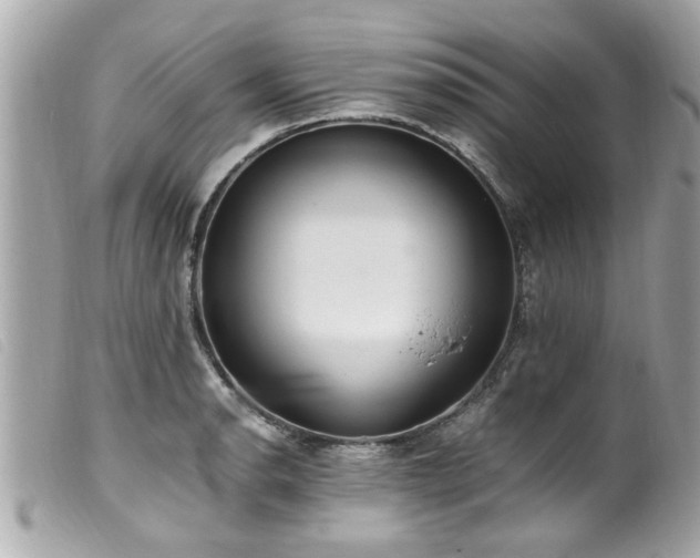 X0000100221134200805301341