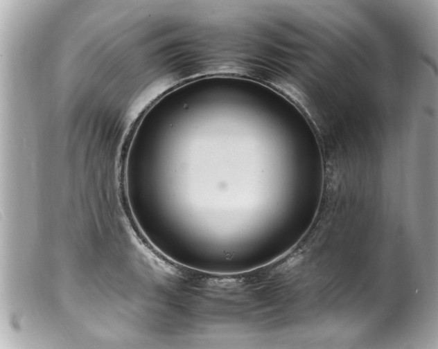 X0000100221135200805301341