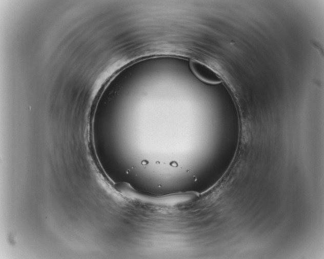 X0000100221136200805301341