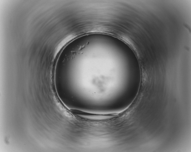 X0000100221138200805301341