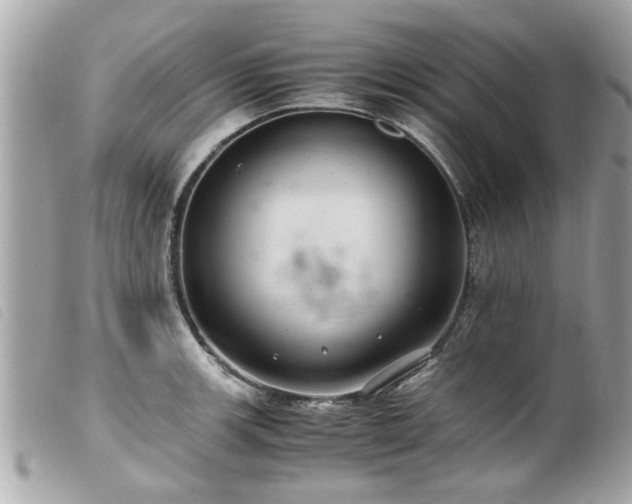 X0000100221139200805301341