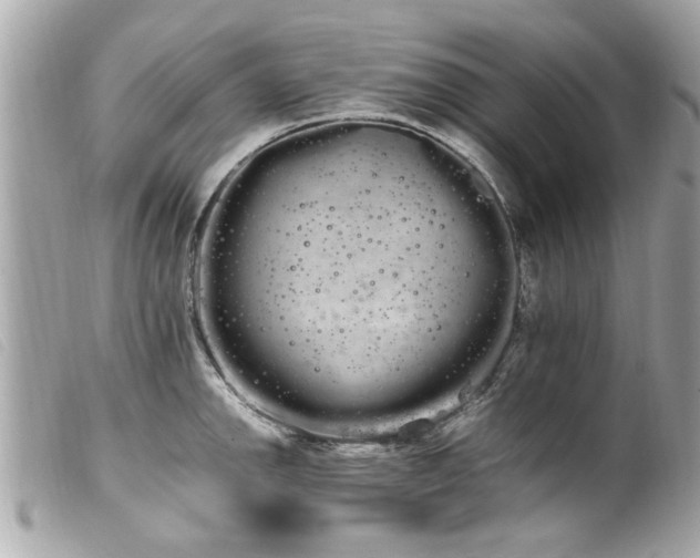 X0000100221142200805301341