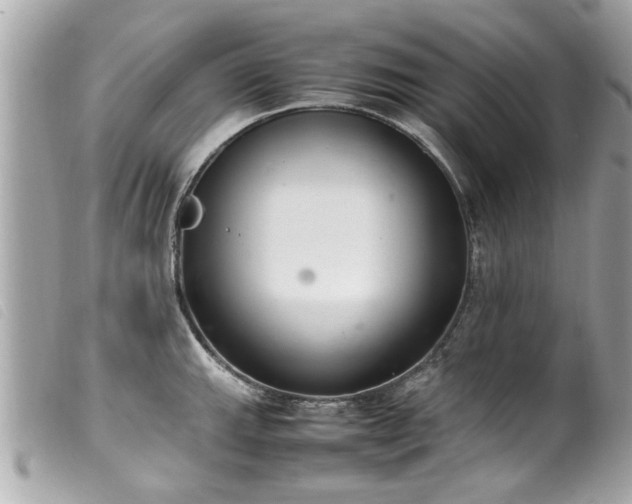 X0000100221143200805301341