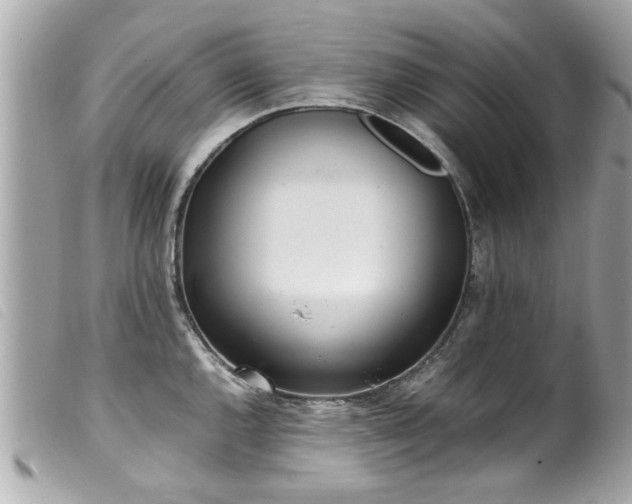 X0000100221144200805301341