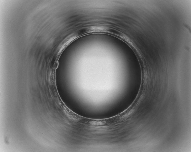 X0000100221145200805301341