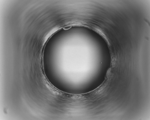 X0000100221146200805301341