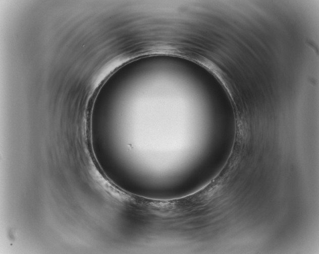 X0000100221147200805301341