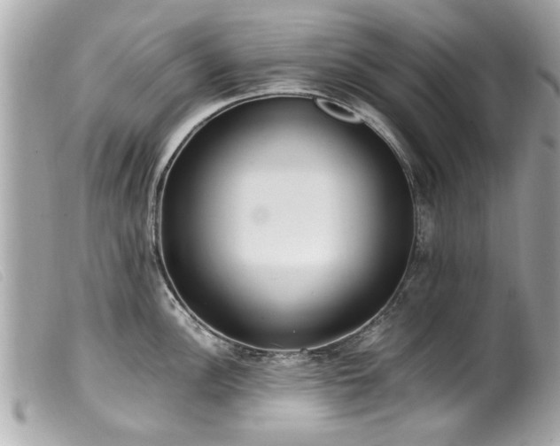 X0000100221148200805301341