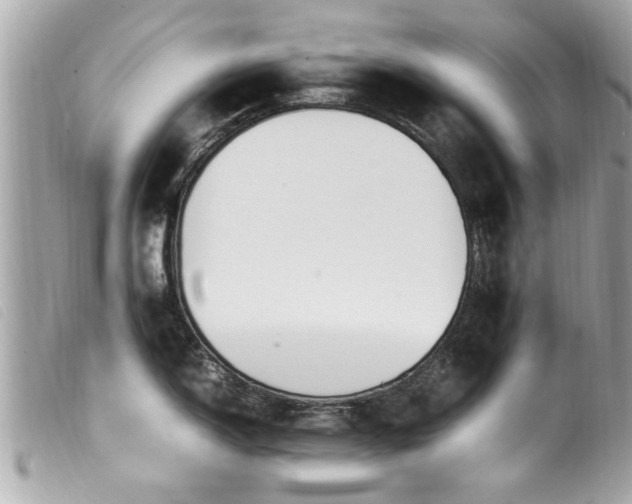 X0000100221150200805301341