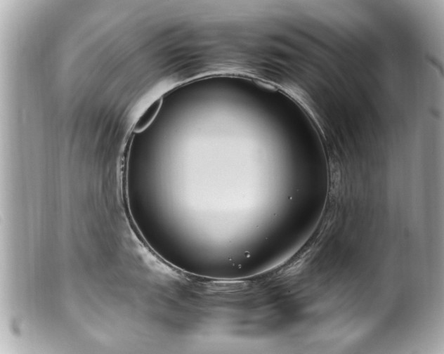 X0000100221151200805301341