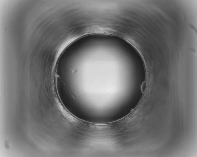 X0000100221152200805301341