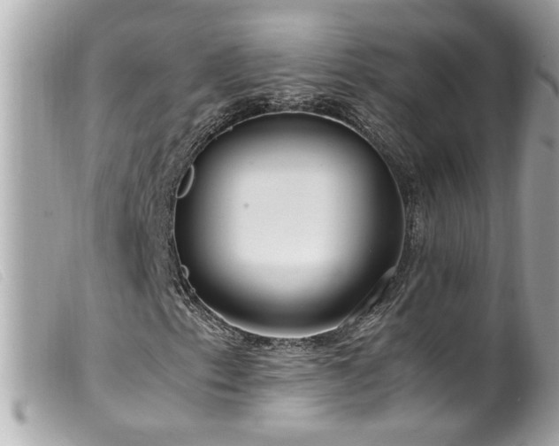 X0000100221153200805301341