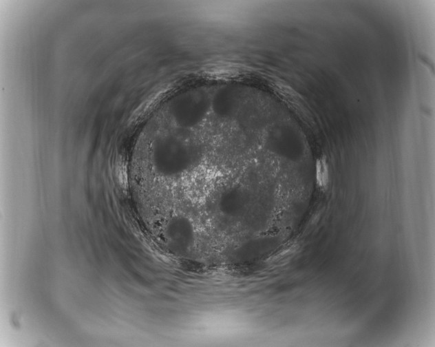 X0000100221155200805301341