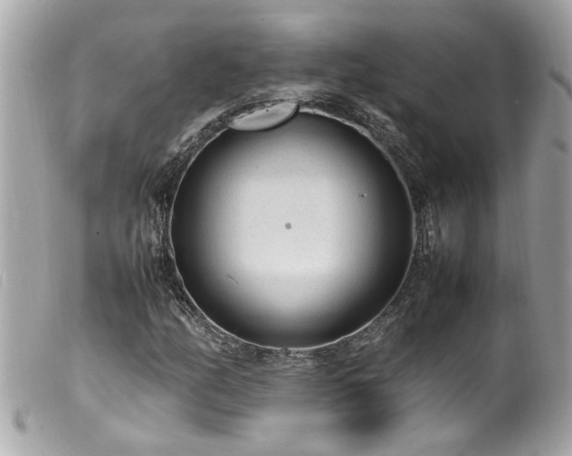 X0000100221158200805301341
