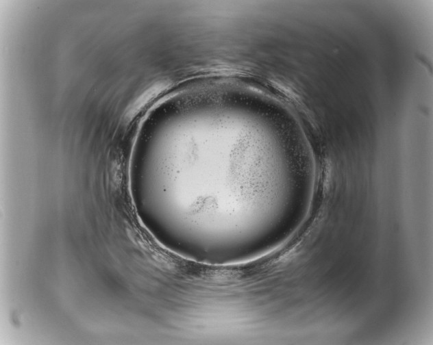 X0000100221163200805301341