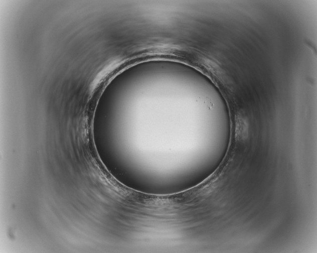 X0000100221164200805301341