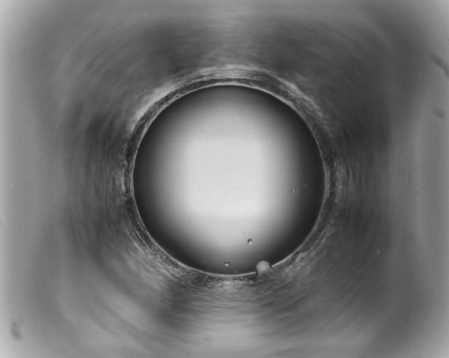 X0000100221166200805301341