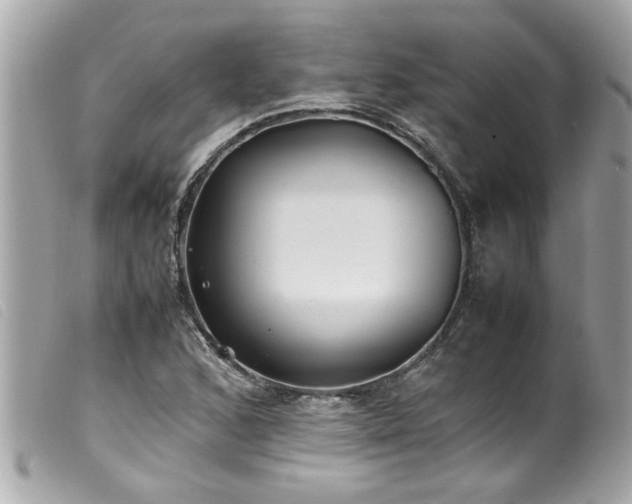 X0000100221168200805301341