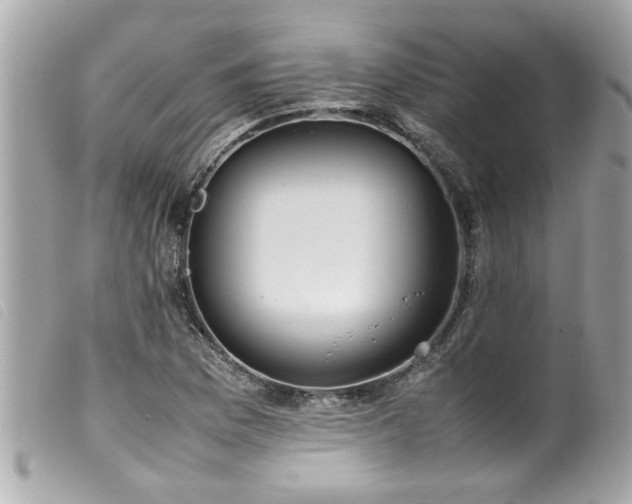 X0000100221169200805301341