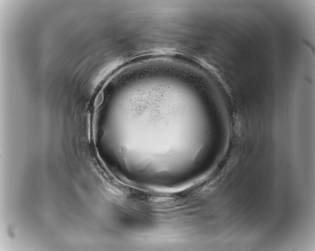 X0000100221171200805301341
